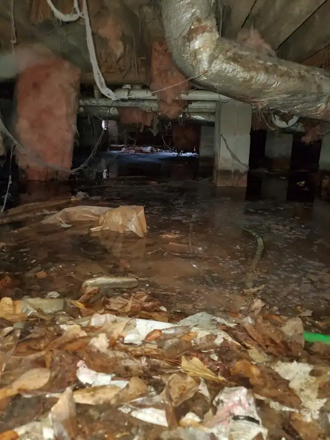 Crawl space flood assessment for Leak Detection & Repair in Wells Branch